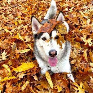 Meet your Posher, Georgia